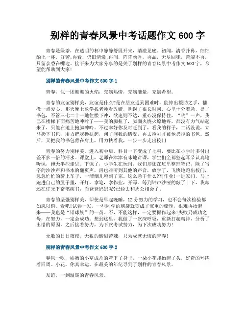 别样的青春风景中考话题作文600字