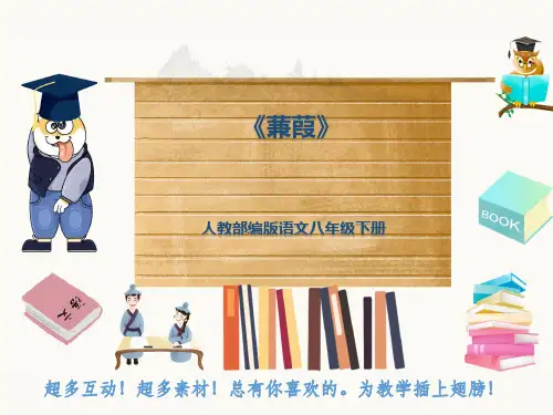 人教部编版语文八年级下册《蒹葭》