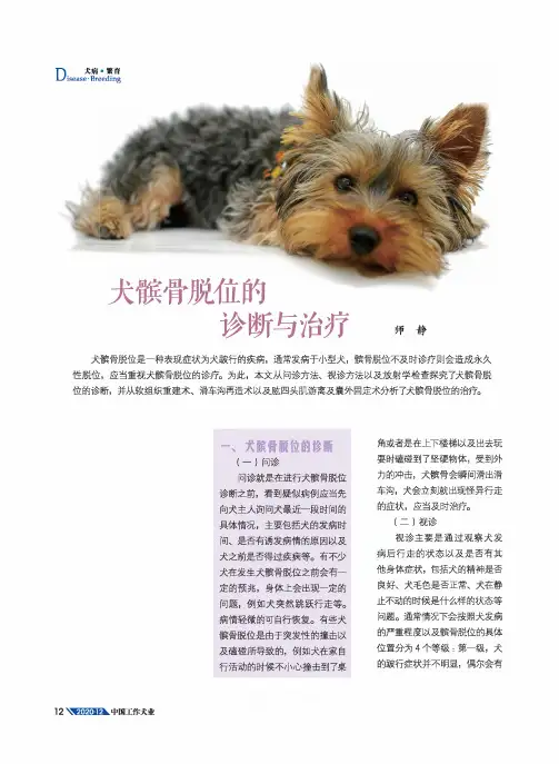 犬髌骨脱位的诊断与治疗