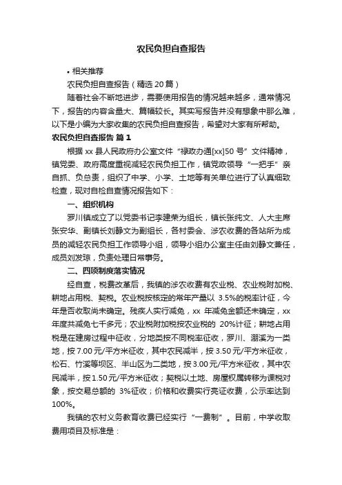 农民负担自查报告
