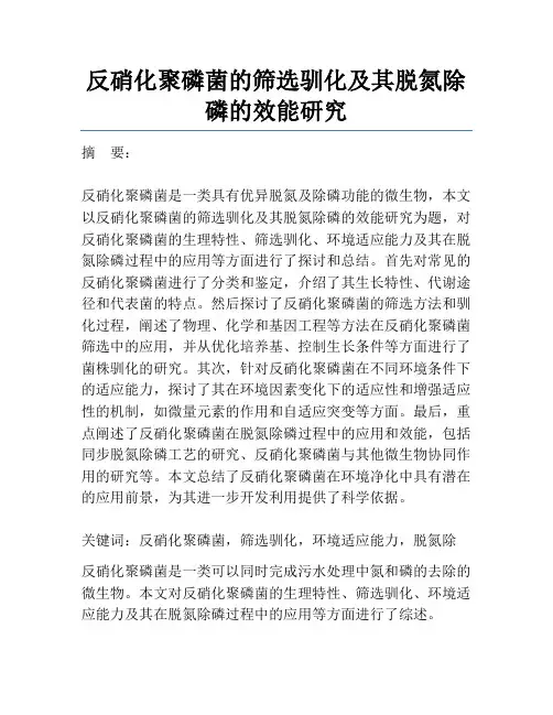 反硝化聚磷菌的筛选驯化及其脱氮除磷的效能研究