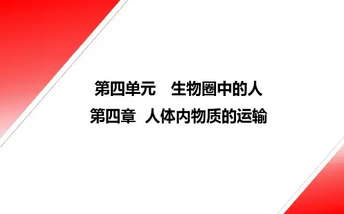 第四章《人体内物质的运输》综合复习课件(二)