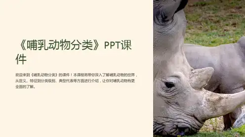 《哺乳动物分类》课件