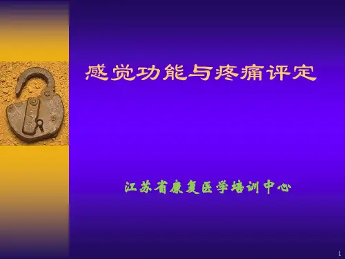 感觉功能的评定