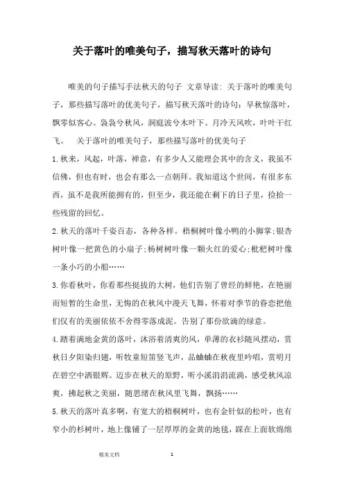 落叶的唯美诗句