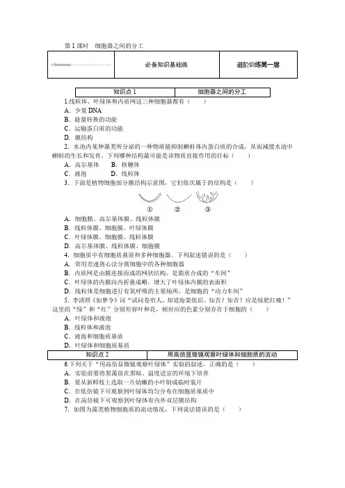 3.2.1 细胞器之间的分工