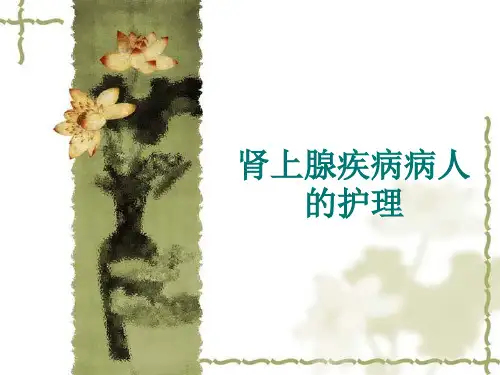 肾上腺疾病病人的护理