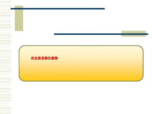 安友垂直绿化植物