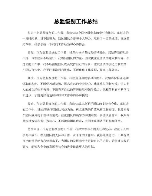 总监级别工作总结