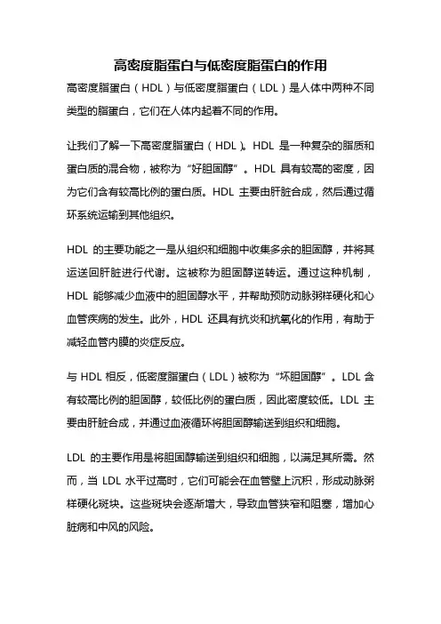 高密度脂蛋白与低密度脂蛋白的作用