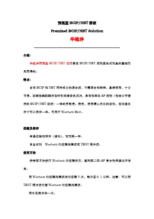预混型BCIP、NBT溶液
