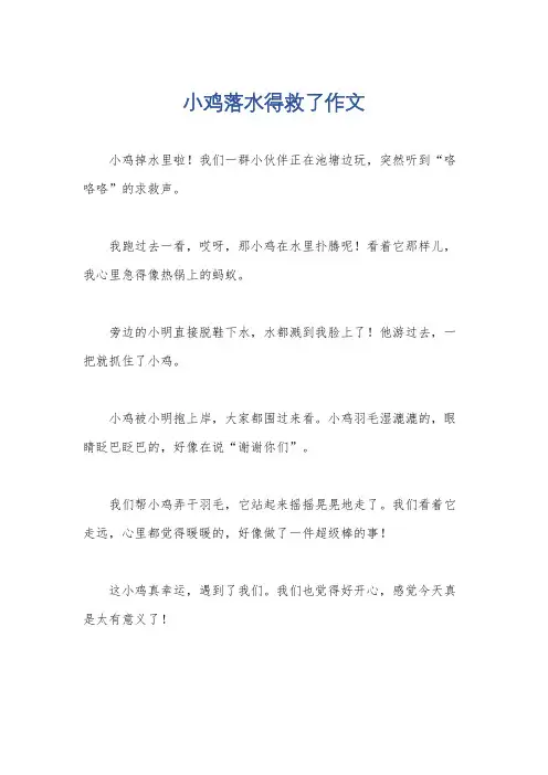小鸡落水得救了作文