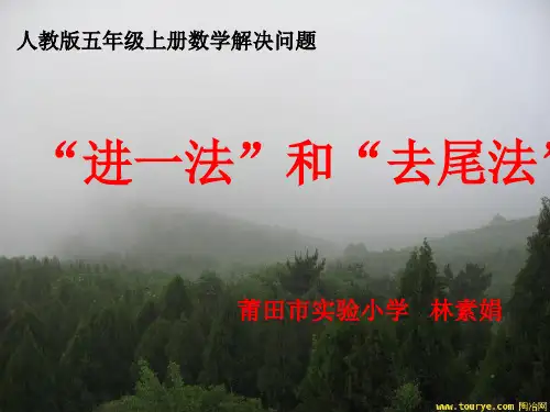 进一法和去尾法PPT