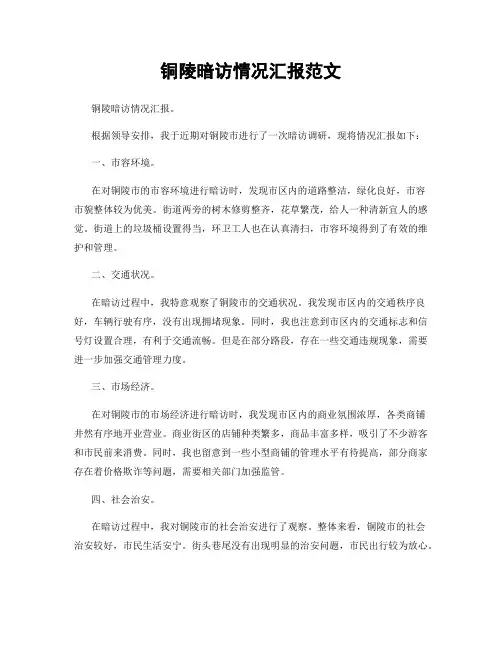 铜陵暗访情况汇报范文