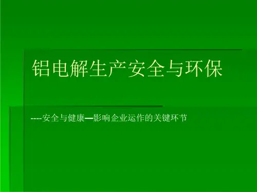 铝电解生产安全与环保ppt课件