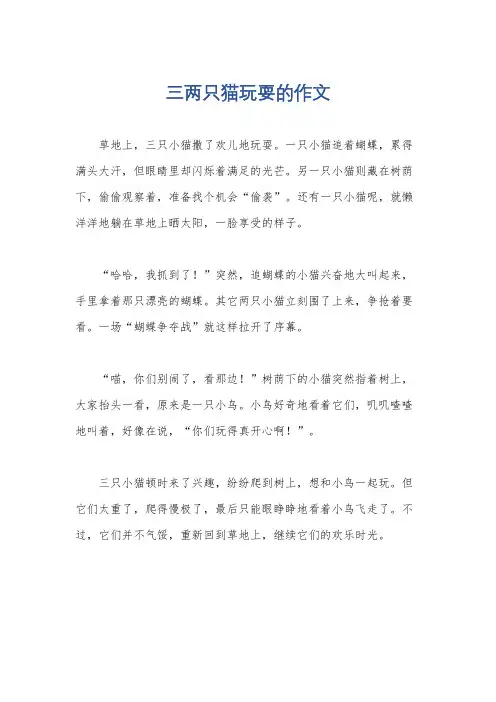 三两只猫玩耍的作文