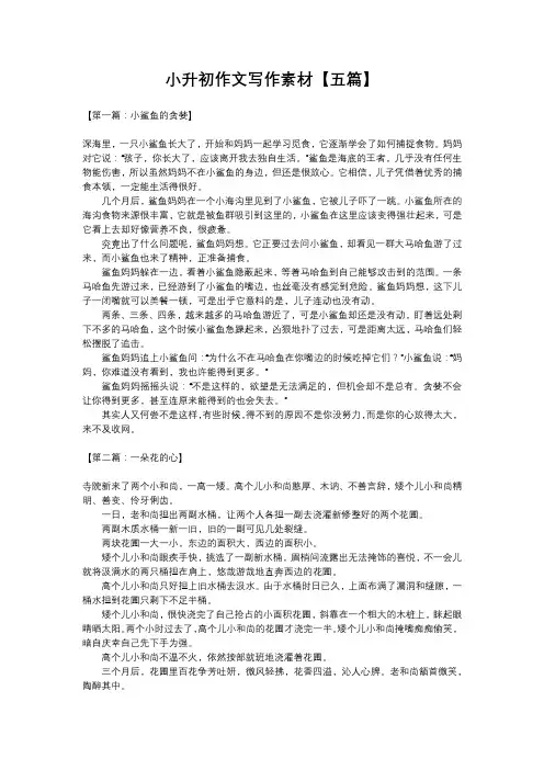 小升初作文写作素材【五篇】