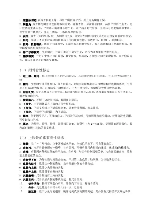 重要骨性标志