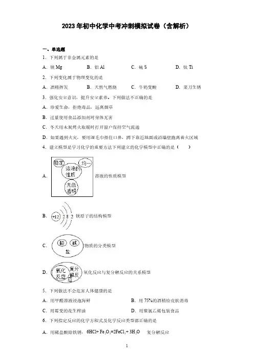 2023年初中化学中考冲刺模拟试卷(含解析)