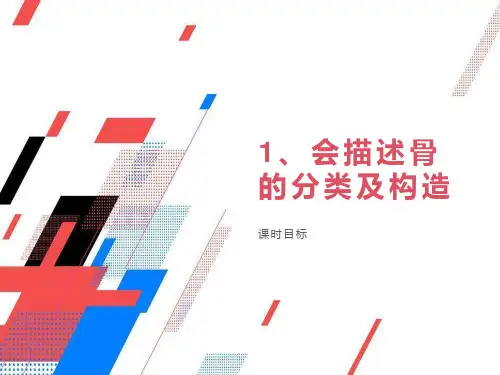 (正常人体结构学)第二章运动系统-骨学