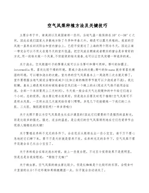 空气凤梨种植方法及关键技巧