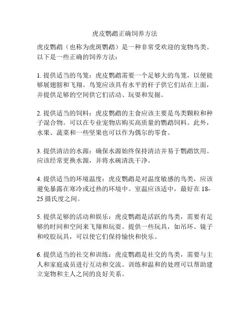 虎皮鹦鹉正确饲养方法