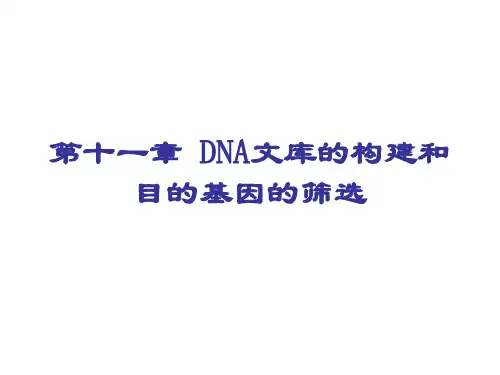 第十一章 DNA文库的构建和目的基因的筛选.pp t