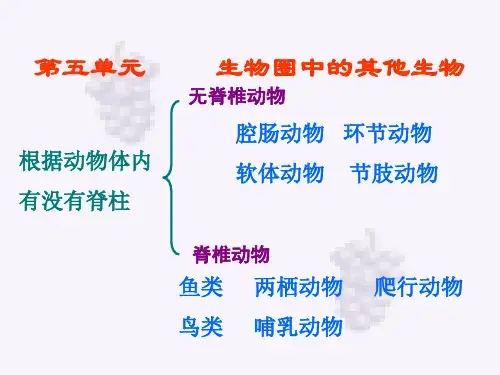 八年级生物上册总复习课件人教版