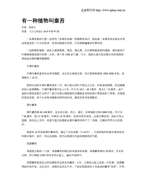 有一种植物叫橐吾