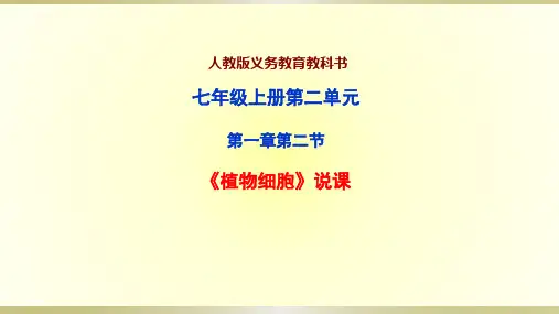 人教版七年级上册生物说课课件：4.2植物细胞(25张幻灯片)