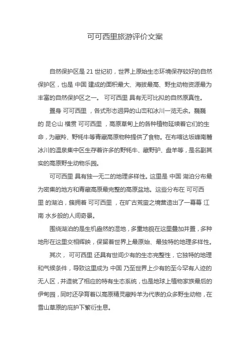 可可西里旅游评价文案