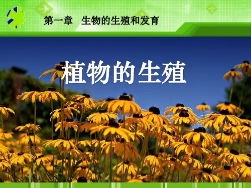 《植物的生殖》生物的生殖和发育PPT课件4 (共69张PPT)