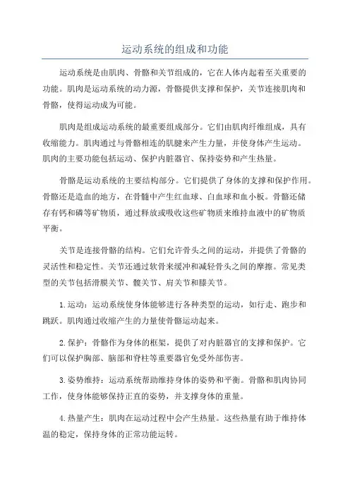 运动系统的组成和功能