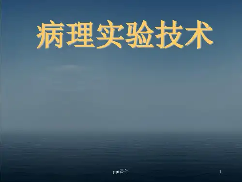 病理实验技术  ppt课件