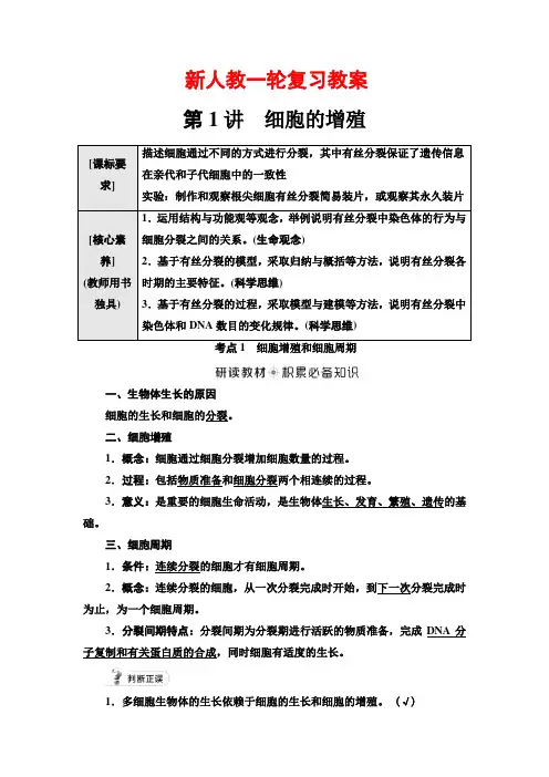 新人教一轮复习教案：必修1 第4单元 第1讲 细胞的增殖