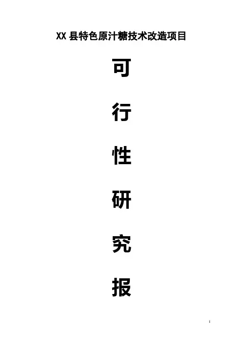 XX县特色原汁糖技术改造项目可行性研究报告