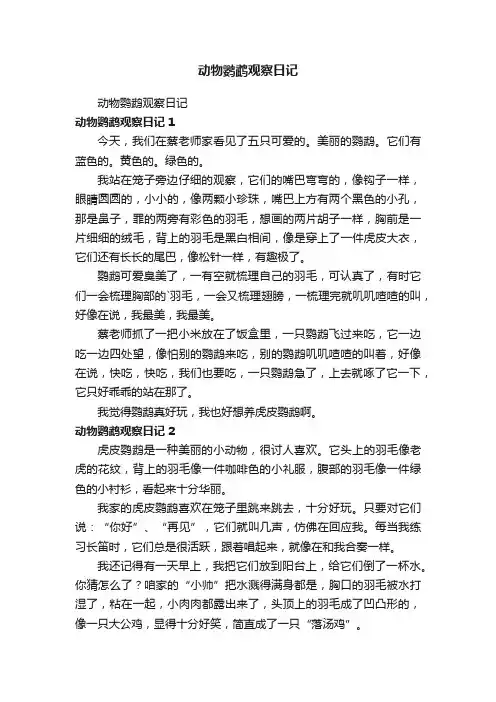 动物鹦鹉观察日记