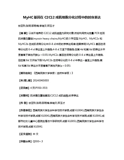 MyHC基因在C2C12成肌细胞分化过程中的时序表达
