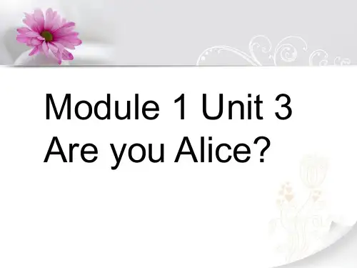 二年级英语上册Unit3AreyouAlice  ppt课件