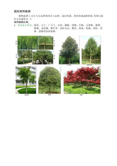 庭院植物分类及意向图