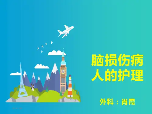 脑损伤的护理精品PPT课件