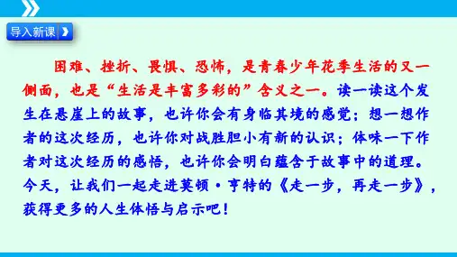 《走一步,再走一步》ppt课件