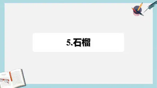 三年级语文上册第5单元16石榴习题课件1苏教版