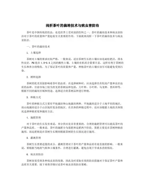 浅析茶叶的栽培技术与病虫害防治