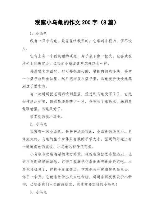 观察小乌龟的作文200字(8篇)_作文