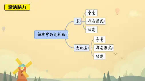 细胞中的糖类和脂质课件(共20张PPT)人教版必修1