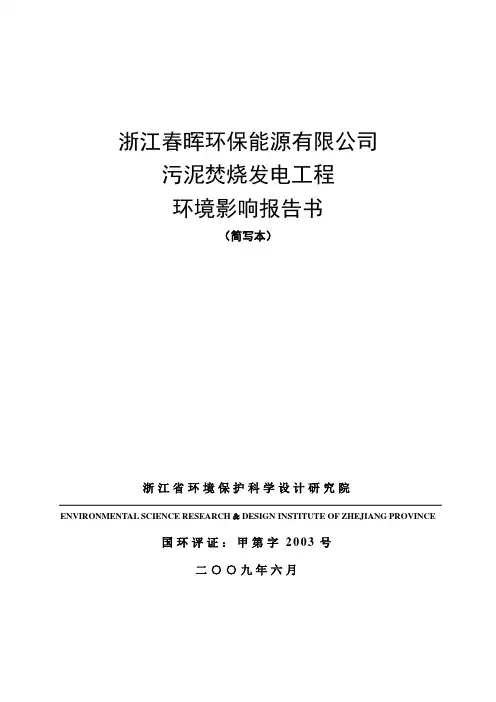 污泥焚烧环评