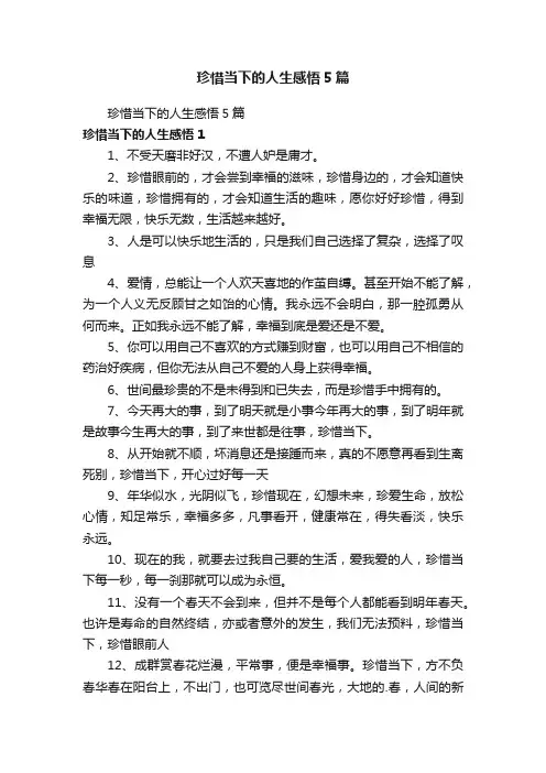 珍惜当下的人生感悟5篇