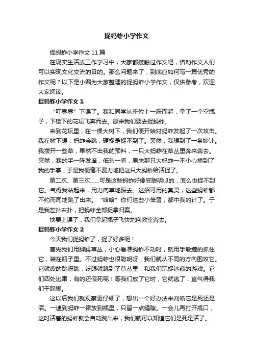 捉蚂蚱小学作文11篇