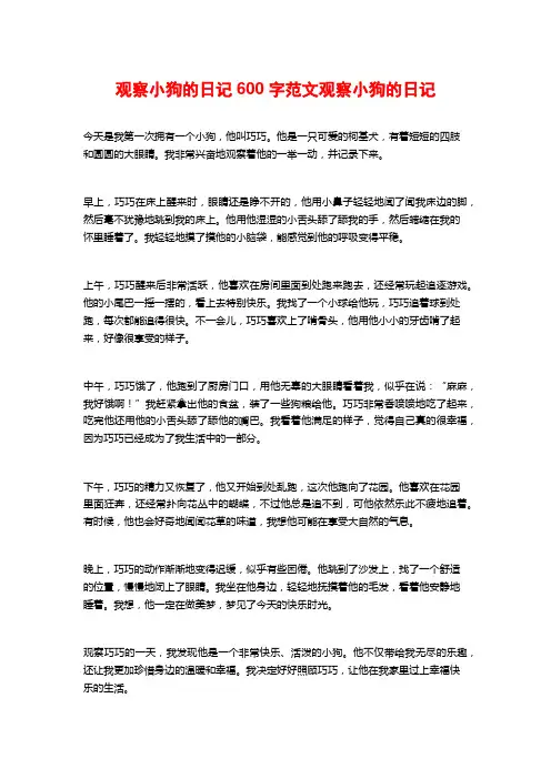 观察小狗的日记600字范文观察小狗的日记